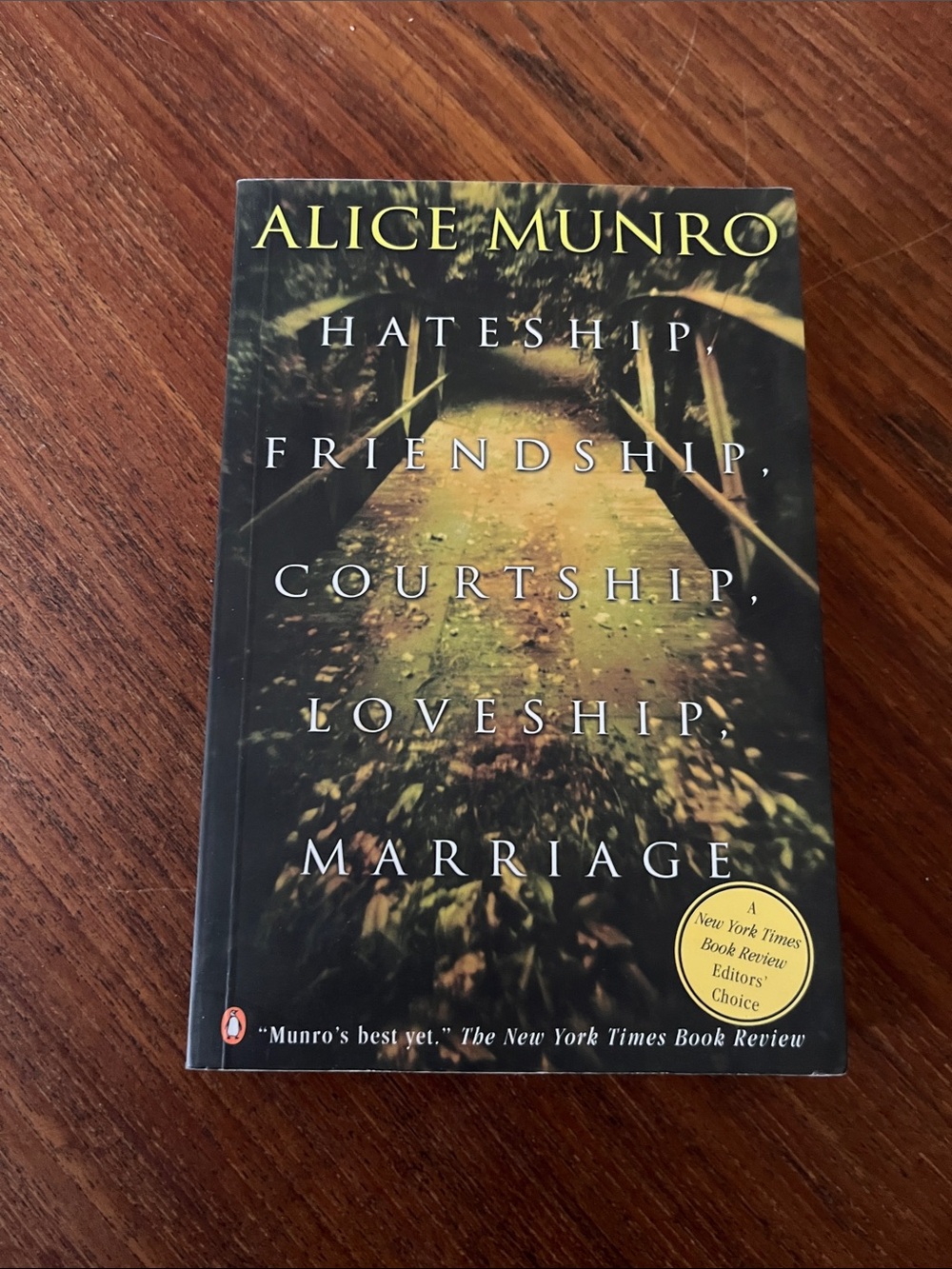 📚 3/$15 📚 Hateship, Courtship, Loveship, Marriage by Alice Munro